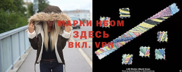 тгк Алзамай
