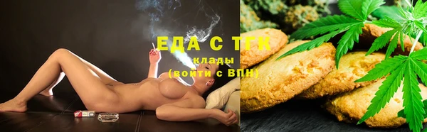 тгк Алзамай