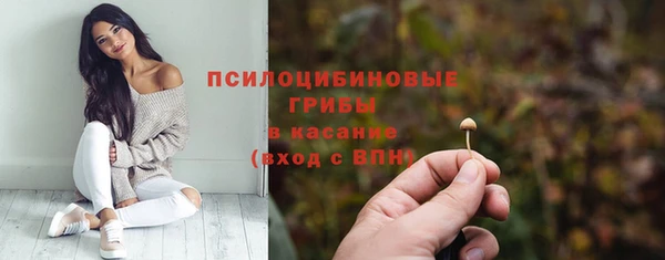 тгк Алзамай