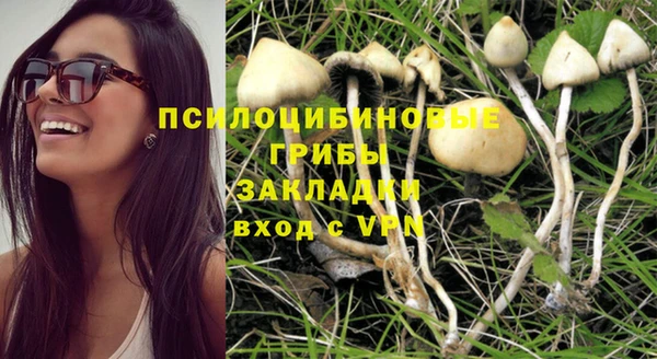 прущие крисы Алексин