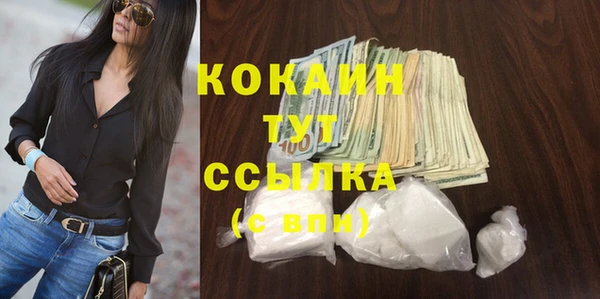 тгк Алзамай