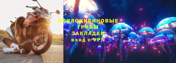 тгк Алзамай